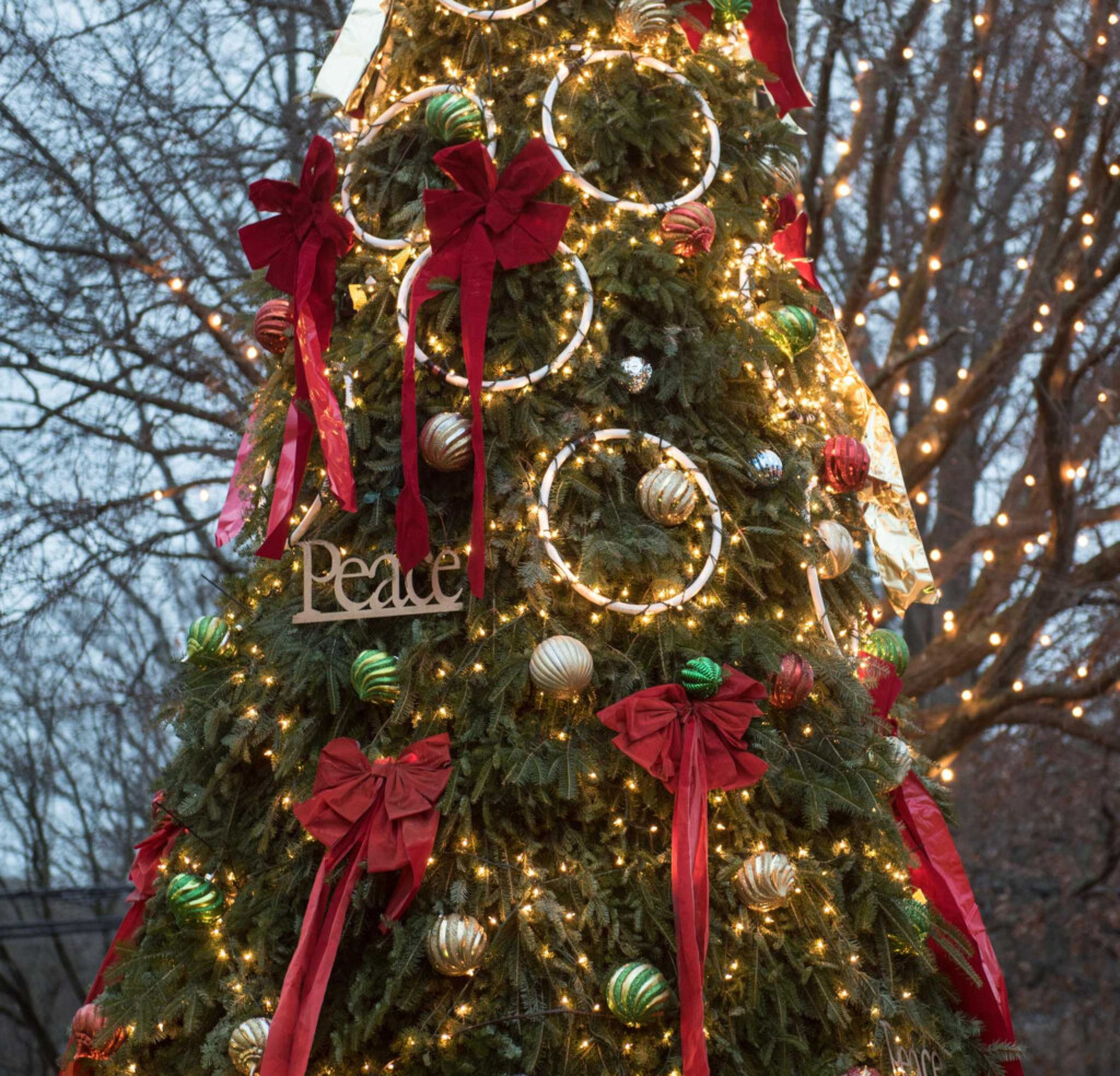 Darien Public Works Holding Christmas Tree Pickup Releases 